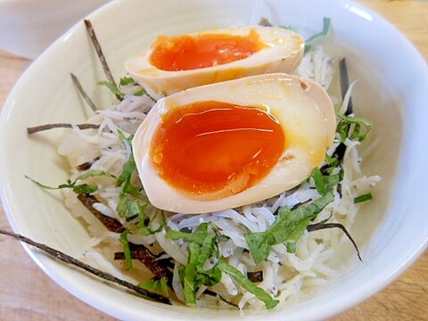 ひとりランチに～しらす丼